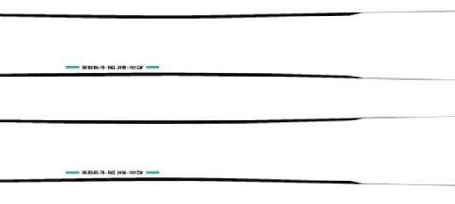 Skis Movement Apple 65 Wom