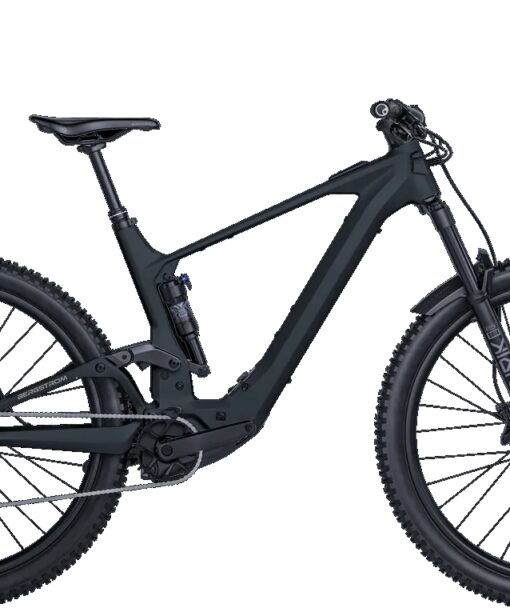 Alternative view of Vélo Bergstrom Roots 4