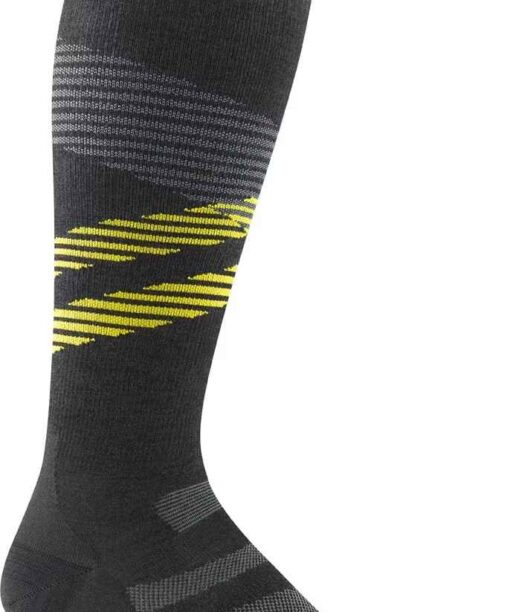 Chaussettes Darn Tough Pennant RFL OTc Men