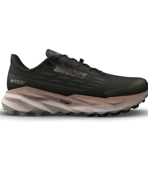 Chaussure Brooks Cascadia 19 GTX Men