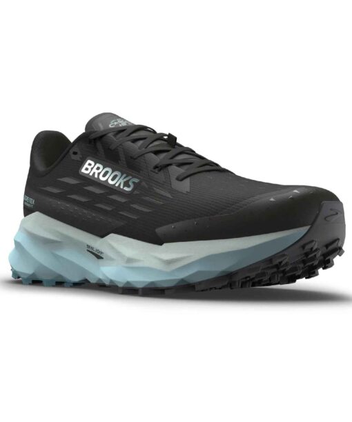 Chaussure Brooks Cascadia 19 GTX Wmn
