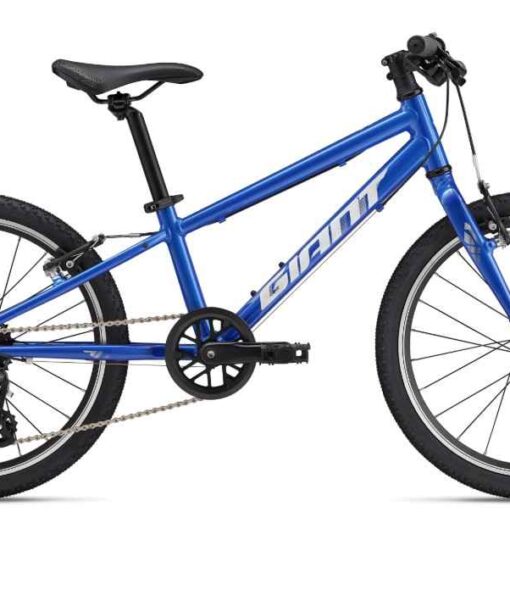 Vélo Giant Arx 20