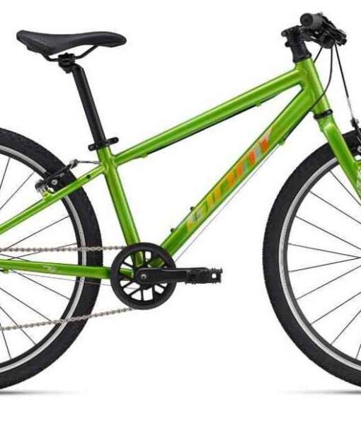 Alternative view of Vélo Giant Arx 20